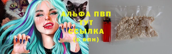 гидропоника Алзамай
