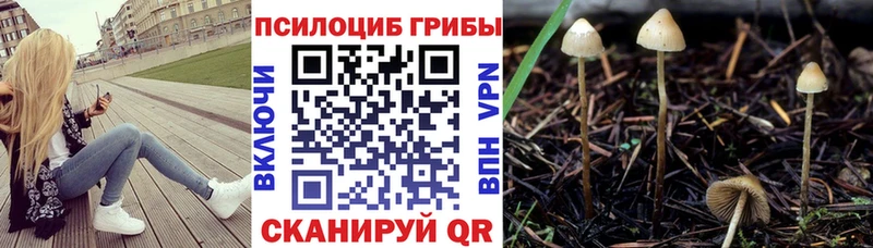 Галлюциногенные грибы мицелий наркотики Новошахтинск