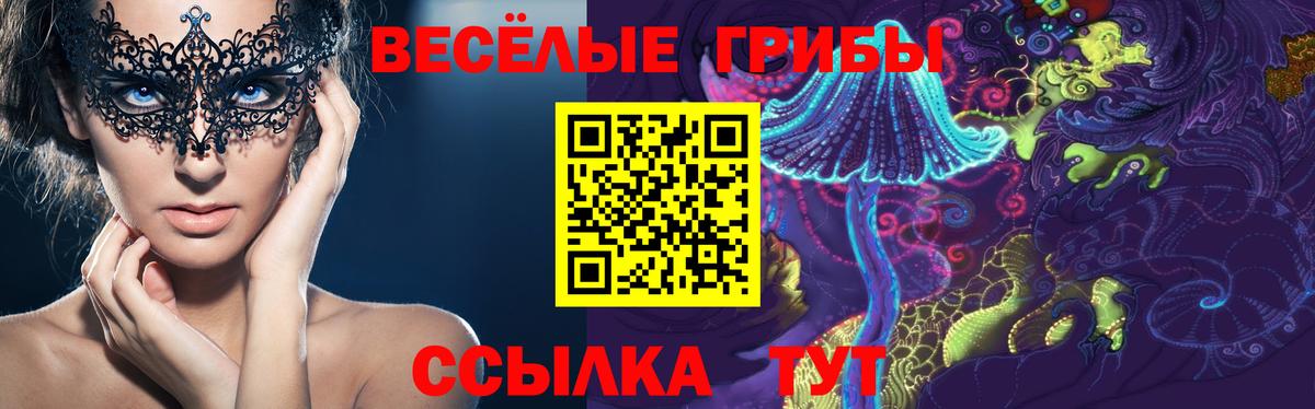 Новошахтинск  Псилоцибиновые грибы прущие грибы  Вход с VPN 
