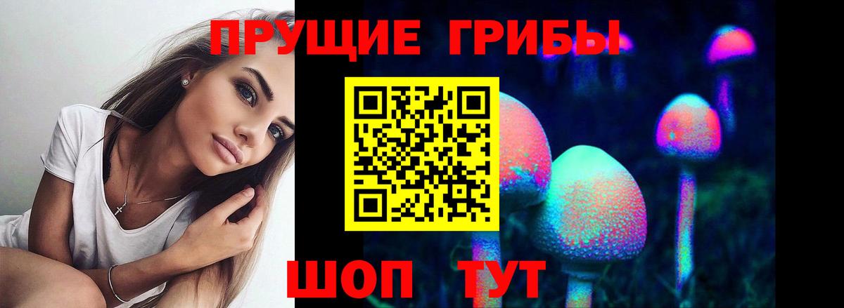 Галлюциногенные грибы мицелий Новошахтинск